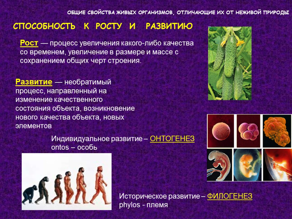 СПОСОБНОСТЬ К РОСТУ И РАЗВИТИЮ ОБЩИЕ СВОЙСТВА ЖИВЫХ ОРГАНИЗМОВ, ОТЛИЧАЮЩИЕ ИХ ОТ НЕЖИВОЙ ПРИРОДЫ СПОСОБНОСТЬ К РОСТУ И РАЗВИТИЮ ОБЩИЕ СВОЙСТВА ЖИВЫХ ОРГАНИЗМОВ, ОТЛИЧАЮЩИЕ ИХ ОТ НЕЖИВОЙ ПРИРОДЫ